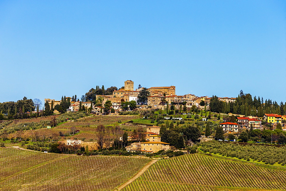 Typical Tuscan landscape with a hill town and vineyard.