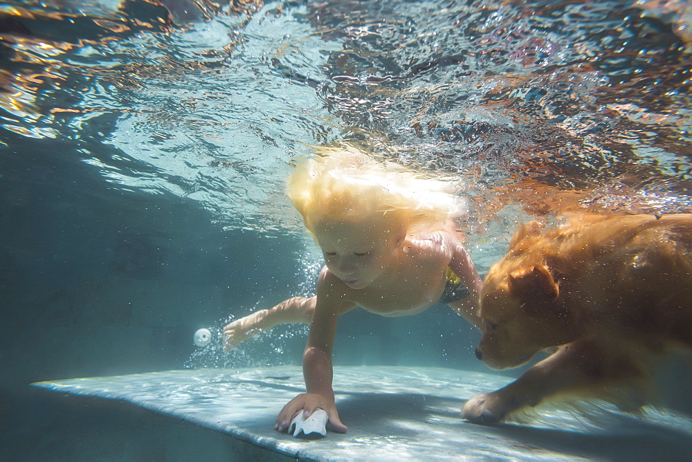 Underwater view of boy and dog swimming in pool