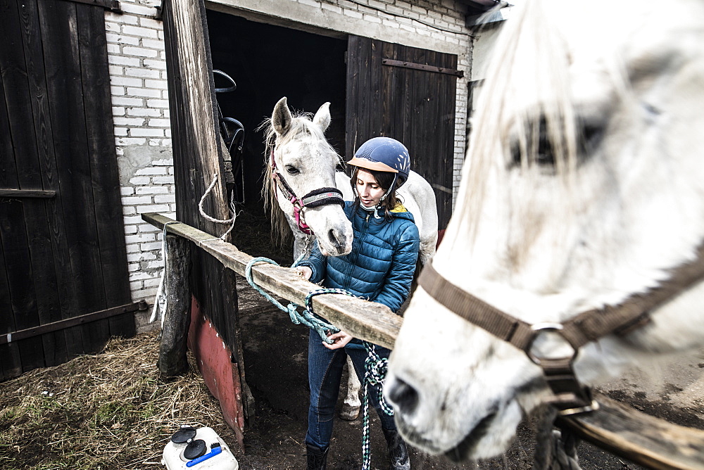 View of single woman with two white horses at stable, Bogatki, Mazowieckie Province, Poland