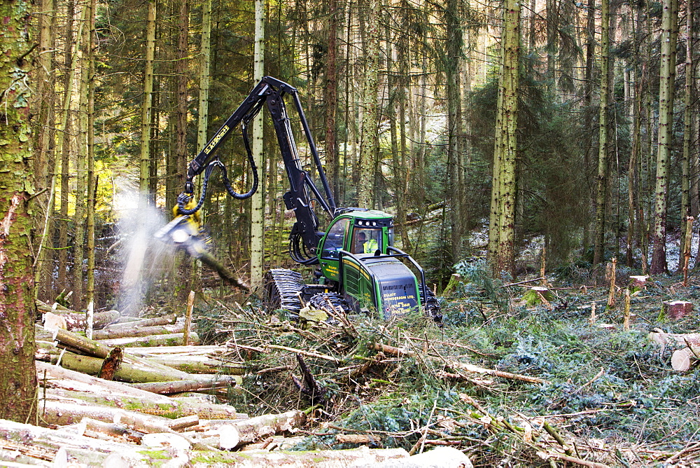 Tree harvester working in Grizedale Forest, Lake District, UK