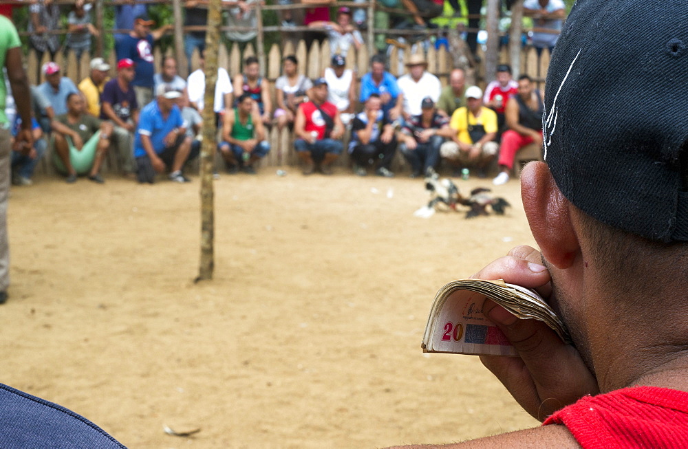 Man holding money while gambling at cock fight in Vinales, Pinar del Rio Province, Cuba