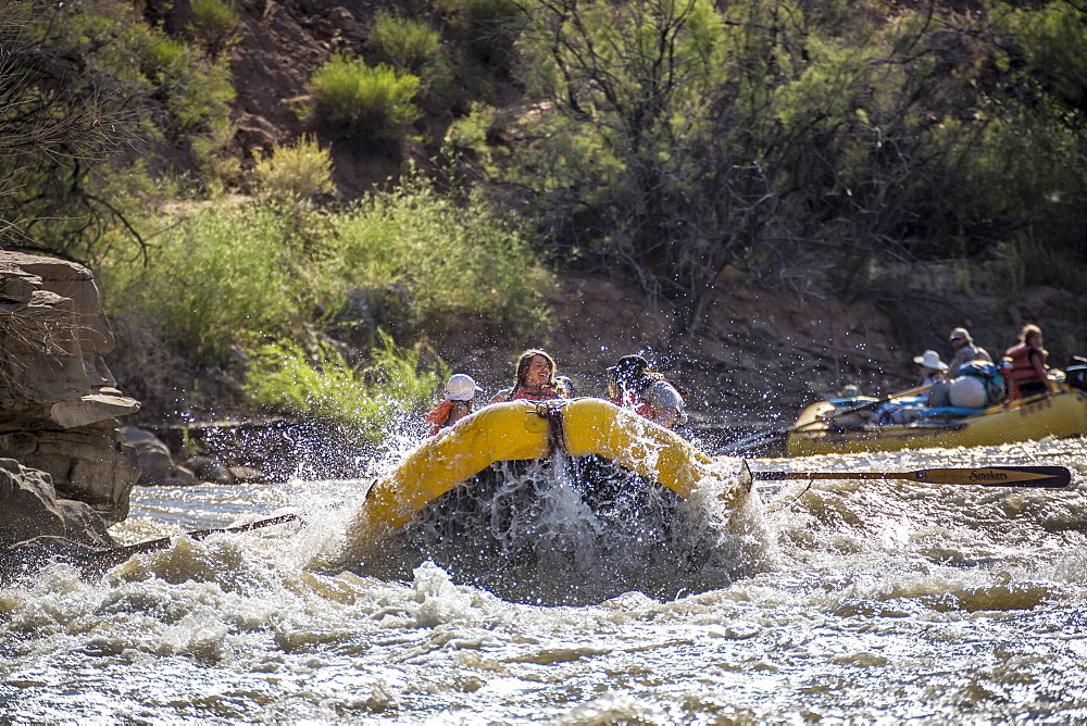 Men and women rafting on rushing Green River in Desolation Canyon, Utah, USA