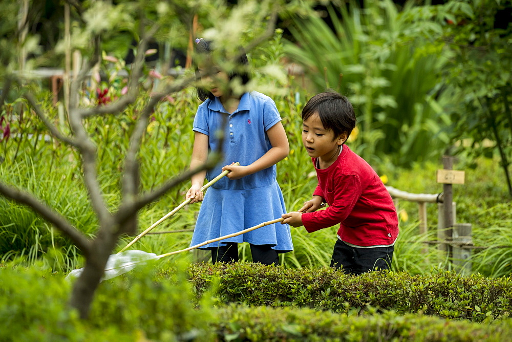 Boy and girl playing in park and catching butterflies with butterfly nets, Tokyo, Tokyo, Japan