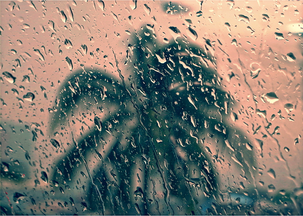 Blurred view of palm tree at sunset through window with raindrops, Manila, Philippines