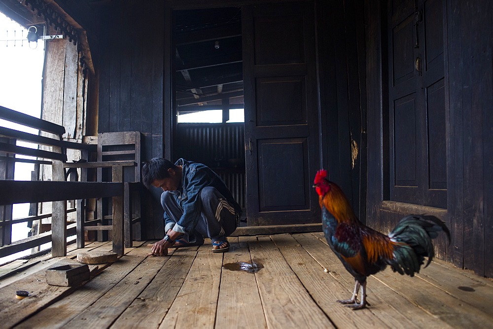 Chicken standing in front of young man crouching and preparing food on wooden porch, Myanmar, Shan, Myanmar