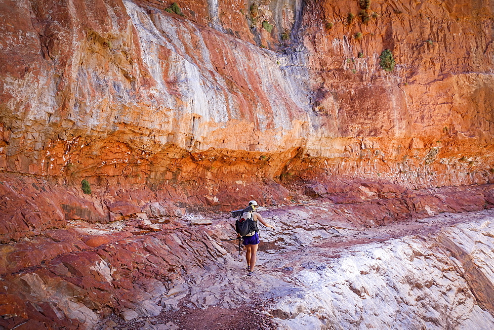 Young woman hiker traversing alone massive sandstone features of Grand Canyons North Rim, Grand Canyon, Arizona, USA