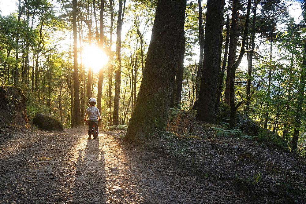 Child riding bike in forest inÂ ElÂ ChicoÂ National Park at sunrise, Â Hidalgo, Mexico