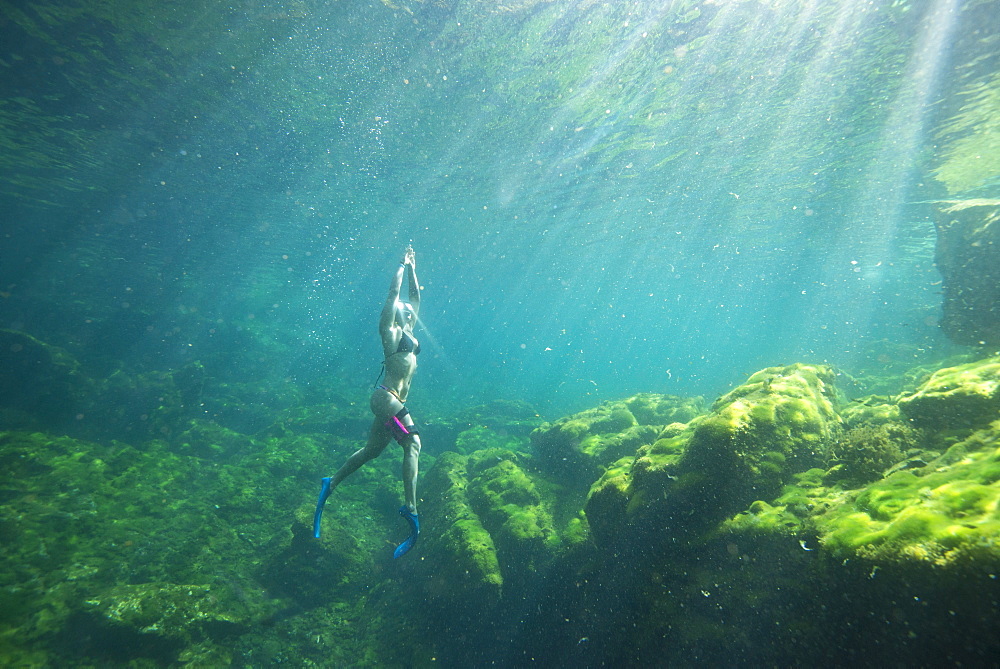 Underwater view?of woman in bikini snorkeling,?Cenote?el Eden, Riviera Maya,?Playa?del?Carmen,?Quintana?Roo,?Mexico