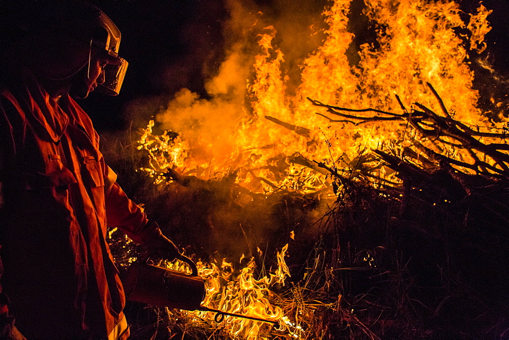 View of single firefighter using?driptorch?during hazard mitigation burn, Guanaba, Queensland, Australia