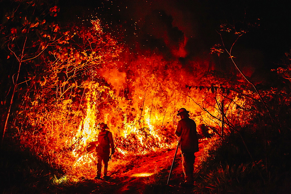 View of two firefighters during forest fire, Guanaba, Queensland, Australia