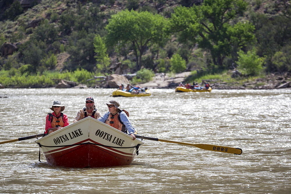 Two women and man paddling in Dory rowboat on Desolation. Gray Canyon section of Green River, Utah, USA