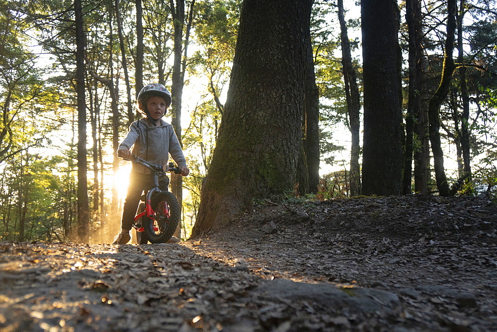 Front view of toddler riding bicycle in forest, El Chico National Park, Hidalgo, Mexico