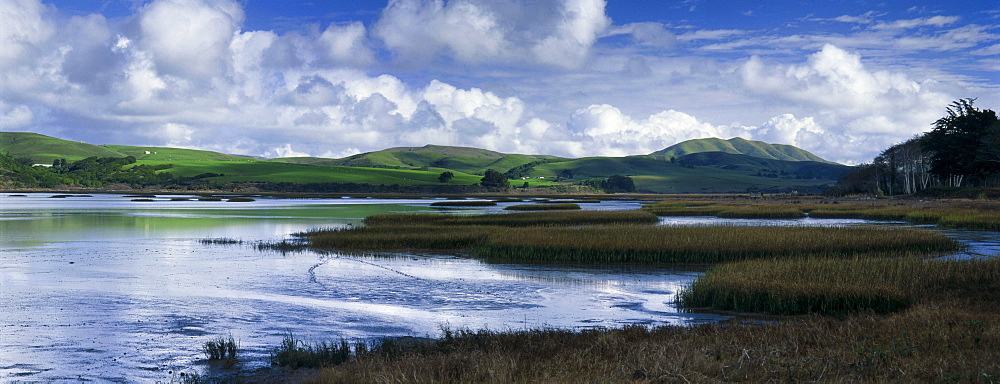 Spring in Tomales Bay