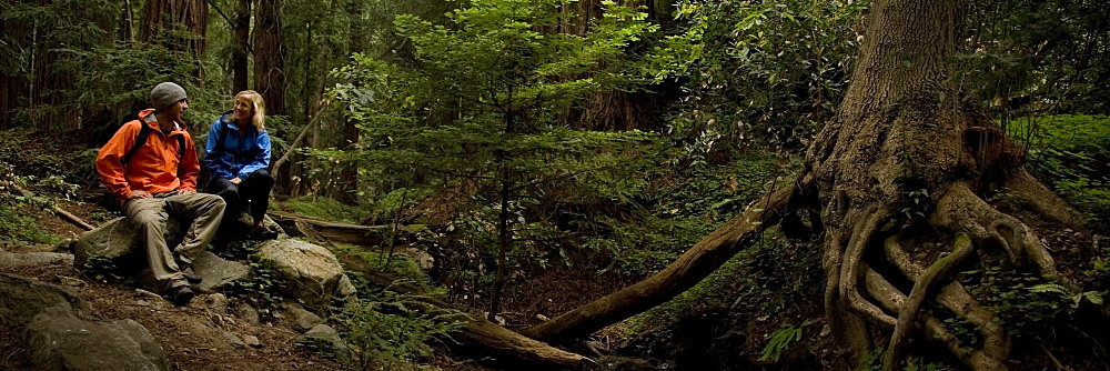 Couple hiking in the redwood forests of Big Sur. Photo by Thomas Kranzle, United States of America