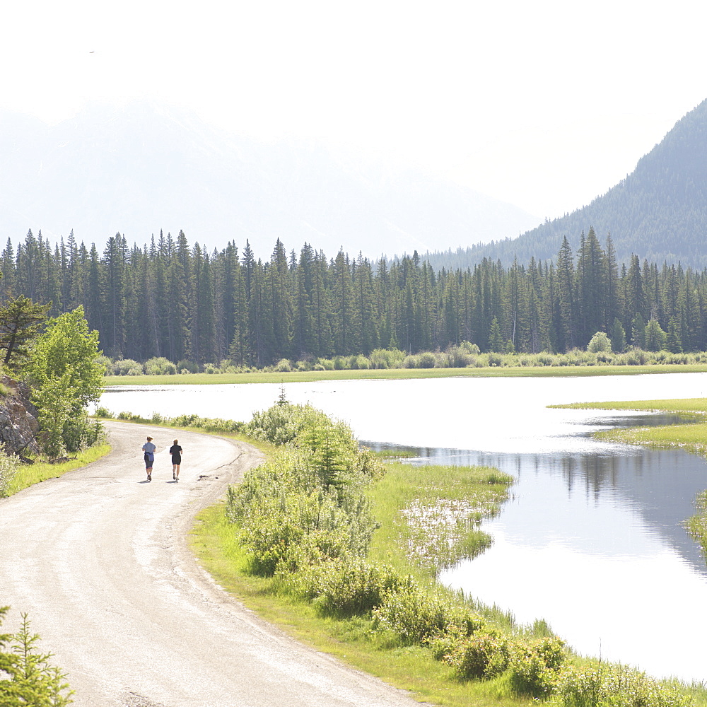 Elevated view of couple walking down windy road along river