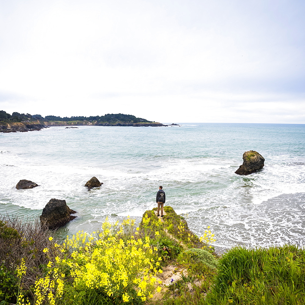 Rear view of man standing on promontory on coastline and looking at view of sea, Mendocino Headlands State Park, Mendocino County, California, USA