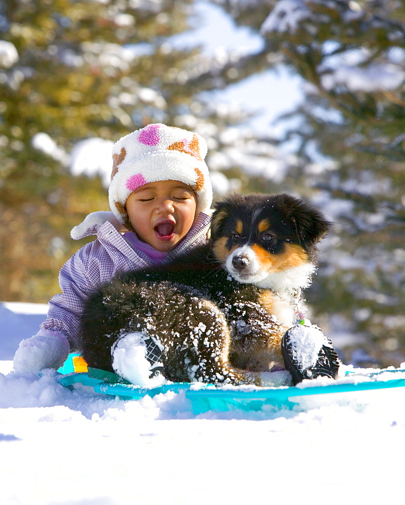 1-year-old baby girl sledding with her dog, a 12-week-old puppy, in Carbondale, Colorado.