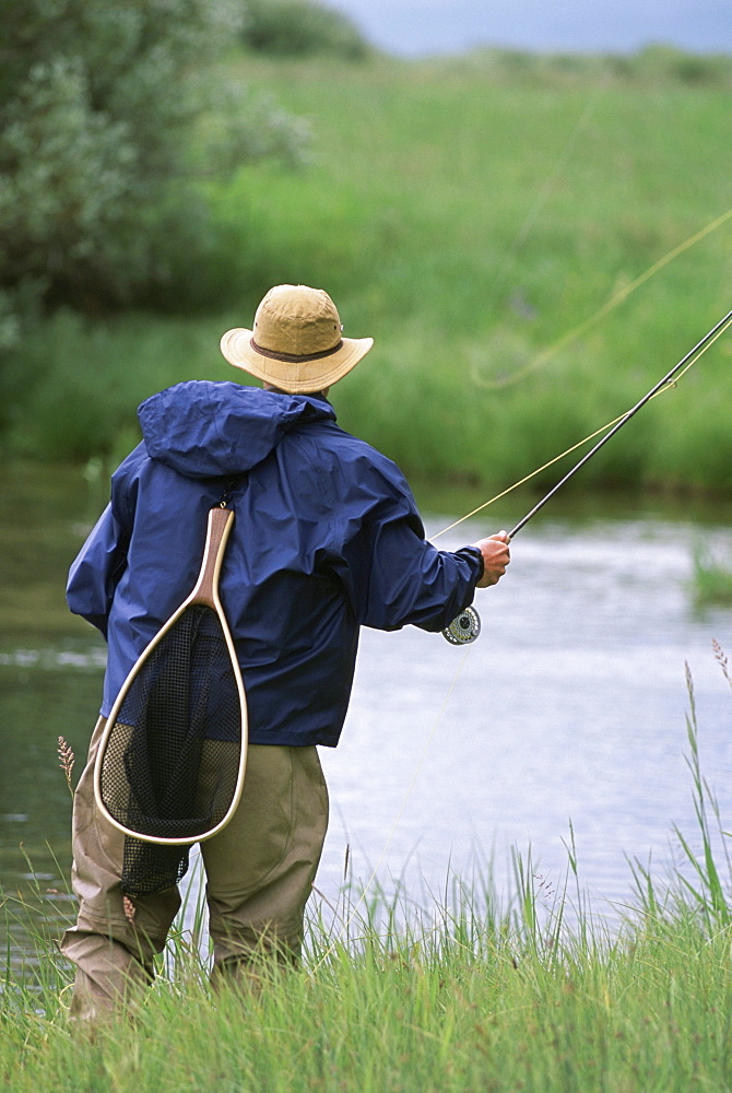 Rear view of a fly-fisherman casting for trout on a small stream in the Rocky Mountains.