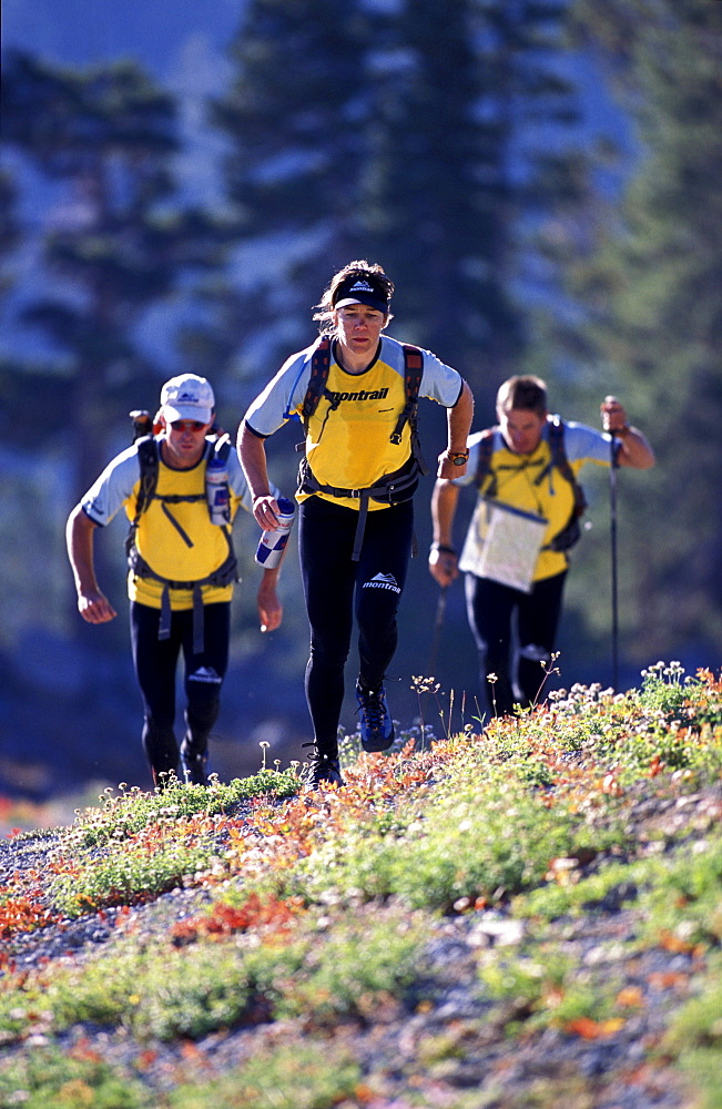 Members of Team Montrail (Novak Thompson ,Patrick Harper, Rebecca Rusch) train for the next adventure race of the season. The team spends much time hiking and running. In the photo the team runs up hill, through flowers, near Lake Tahoe. Hope Valley, California