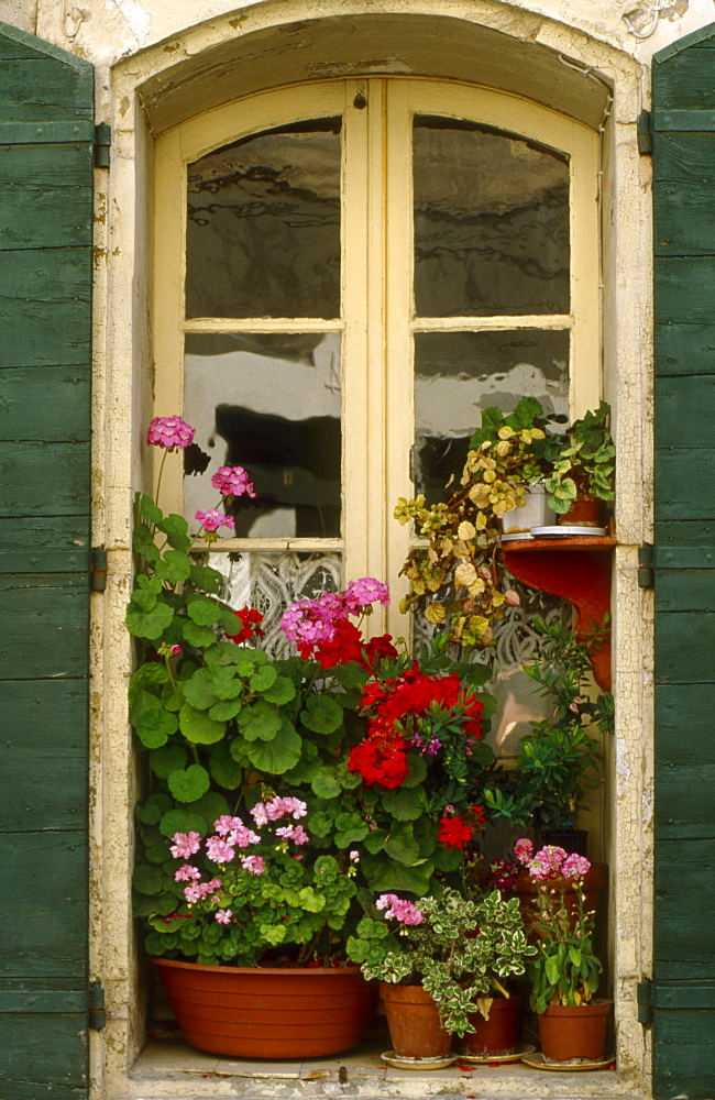 Flowers in the window of a home in Stes. Maries de la Mer, France.