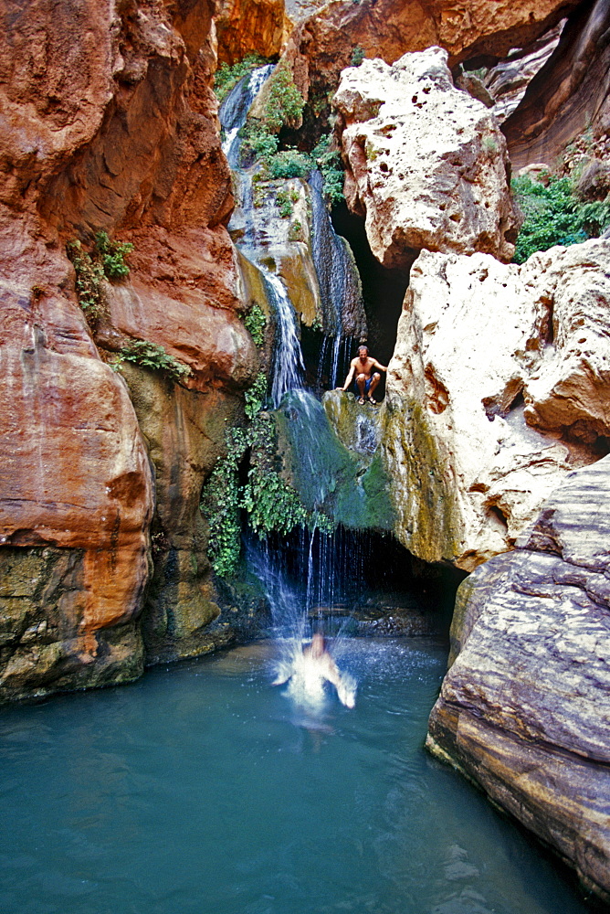 Dave and Angelina (jumping in) Wolf in Elves Chasm which is a tributary canyon area to the Colorado river which rafters hike up during river trips, Grand Canyon, Arizona.