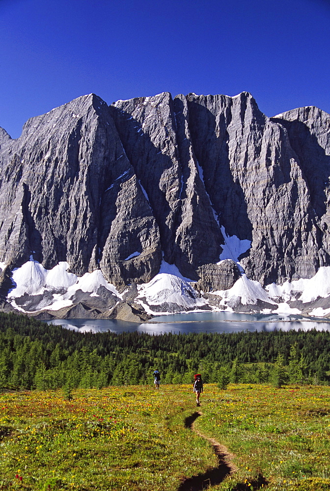 Backpackers hiking in Rockwall trail area, Kootenay National Park, Canada.