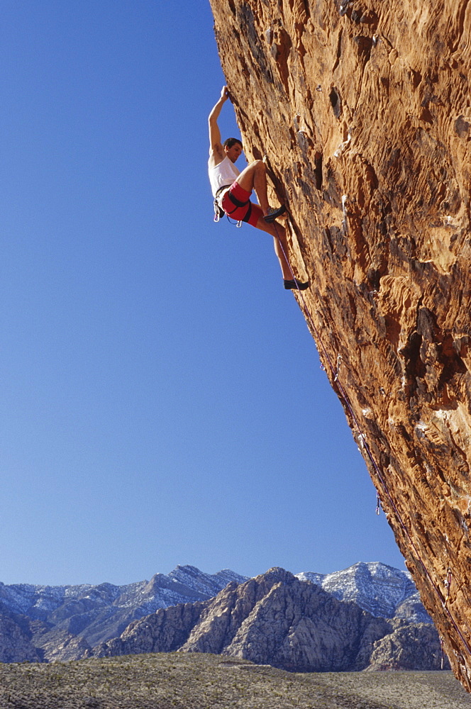 Rock climber ascends The Gift, 5.12d. The Gallery, Red Rocks, Nevada, USA