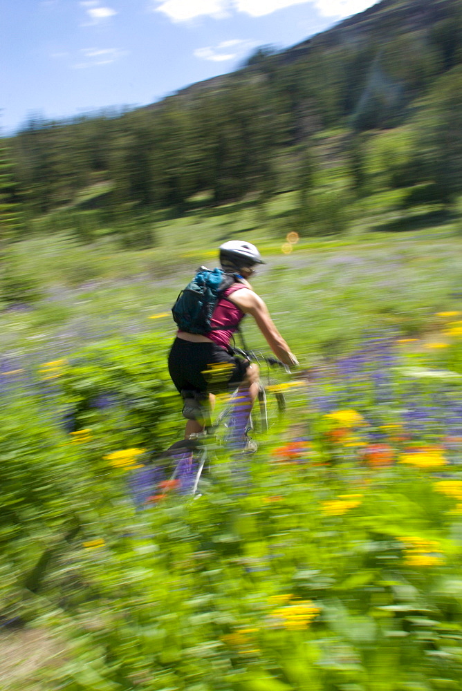 Mountain biking at Kirkwood Resort. Lake Tahoe, CA