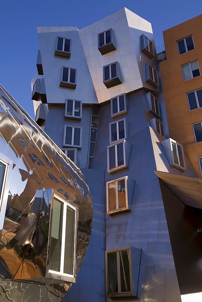 The Stata Center for Computer, Information and Intelligence Sciences, designed by  renowned architect Frank O. Gehry at MIT in C