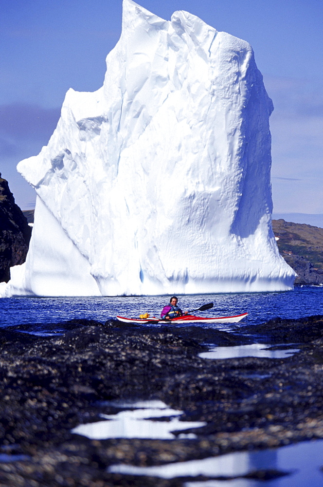 Byron Ricks paddles by a towering iceberg grounded in a cove on Quirpon island.