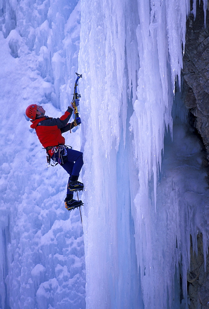 A man ice climbing his way up a frozen waterfall at the Ouray ice park in Colorado.