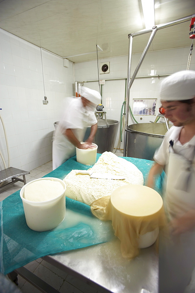 Workers making cheese in Carmelo, Uruguay.