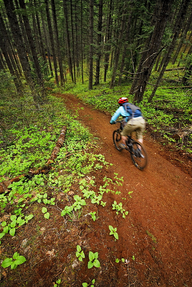 Woman mountain biking. Hood River, Oregon, USA