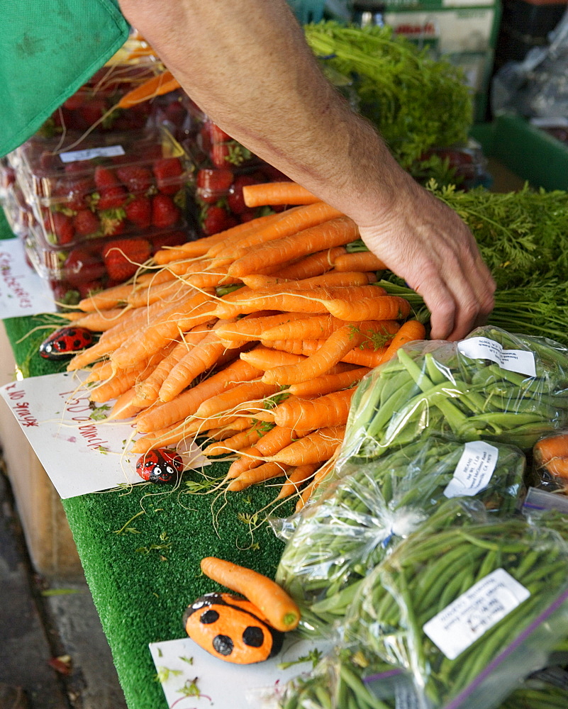 Carrots and other fresh vegetables at a Farmer's Market in San Francisco, California.