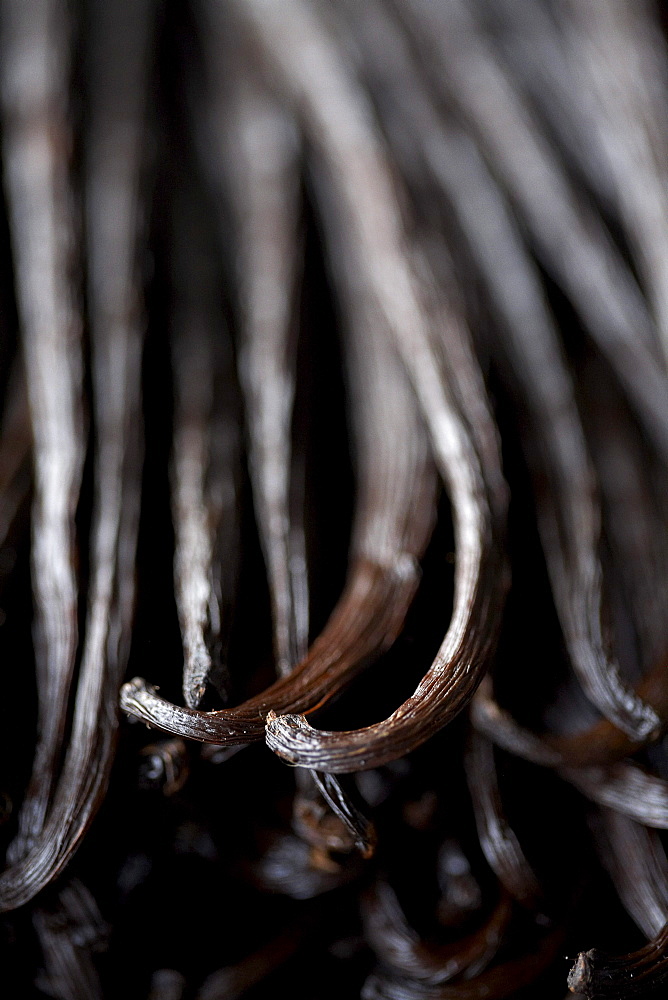 Vanilla beans