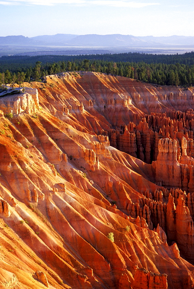 Hoodos in Bryce National Park at sunrise, Utah.