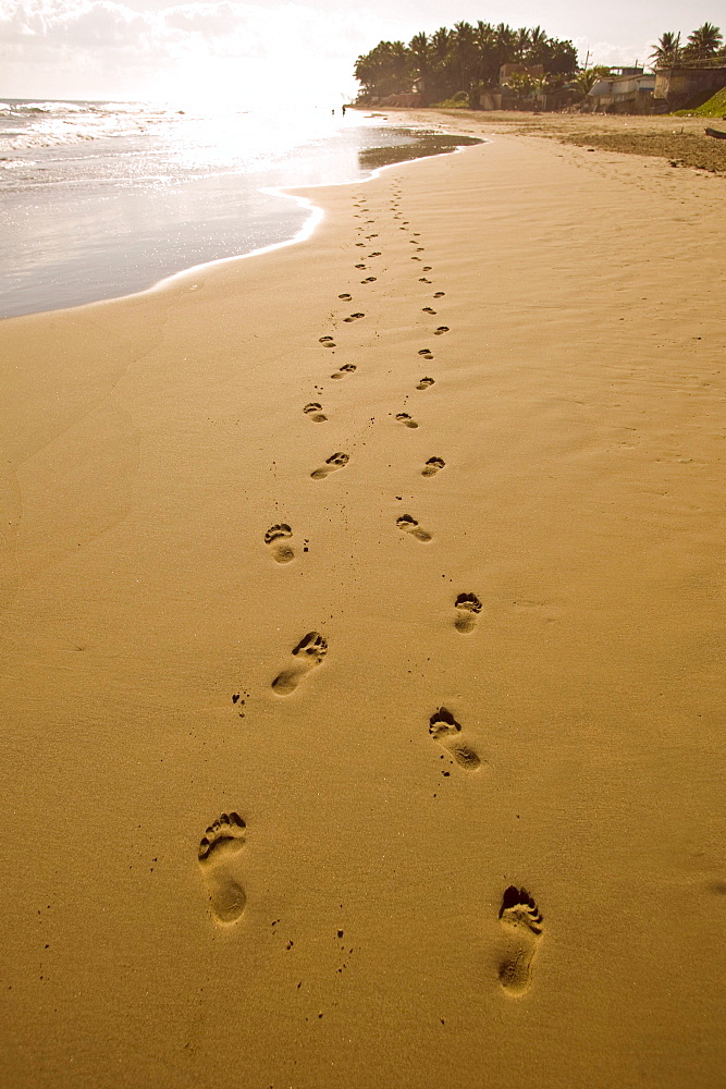 Dominican Republic - Two trails of footprints lead down the deserted beach near Cabarete.