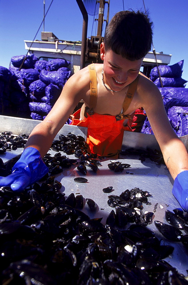 Off Mount Dessert Island Maine, 14 year old Derrick Beal works on a mussel dragger.