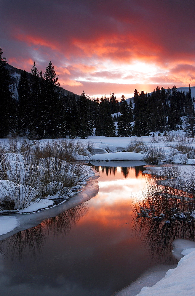 Dramatic winter sunset casts pink glow over Big Cottonwood Creek near Salt Lake City, UT