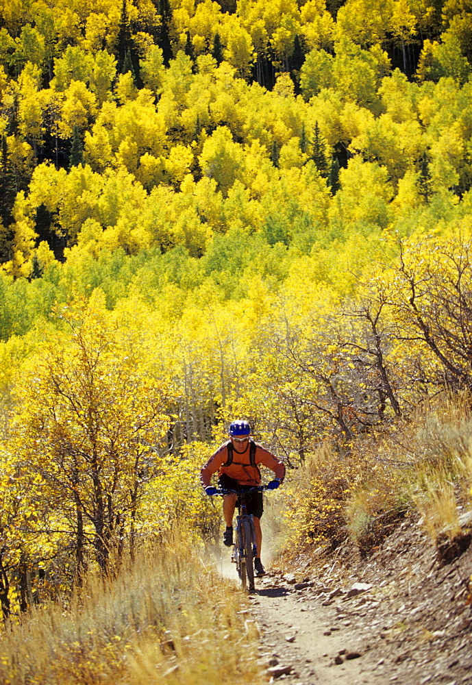 Man fall mountain biking in Park City, Utah.