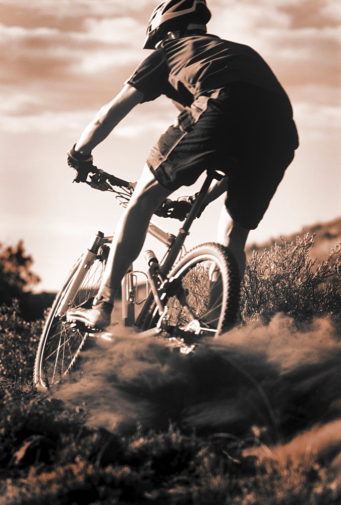 A mountain bike rider on a trail in the Cascade Mountains of Washington.