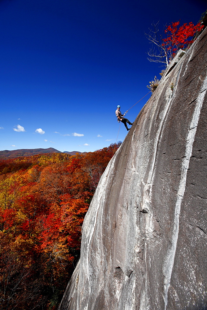 A man repelling descends a granite face surrounded by fall colors.