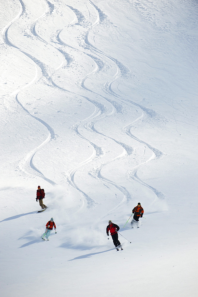 A group of backcountry skiers follow their guide down a slope in the Selkirk Mountains, Canada.