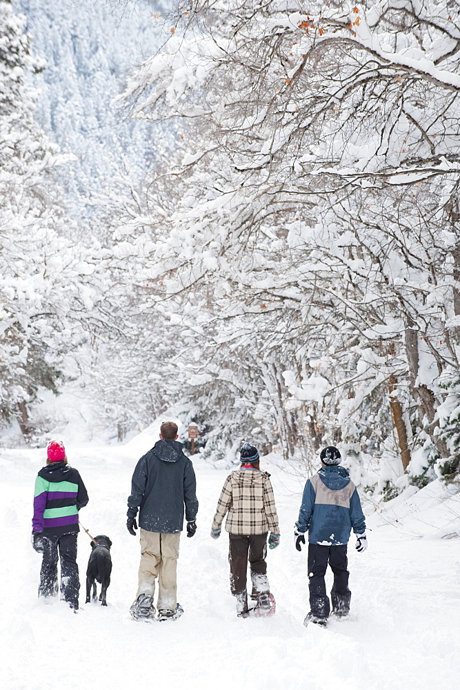 A group of young adults snowshoe down a path in Millcreek Canyon with their dog, Salt Lake City, Utah.