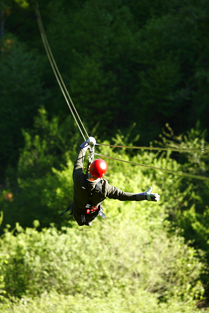 A man zips through the forest canopy during a forest tour near Asheville, North Carolina.