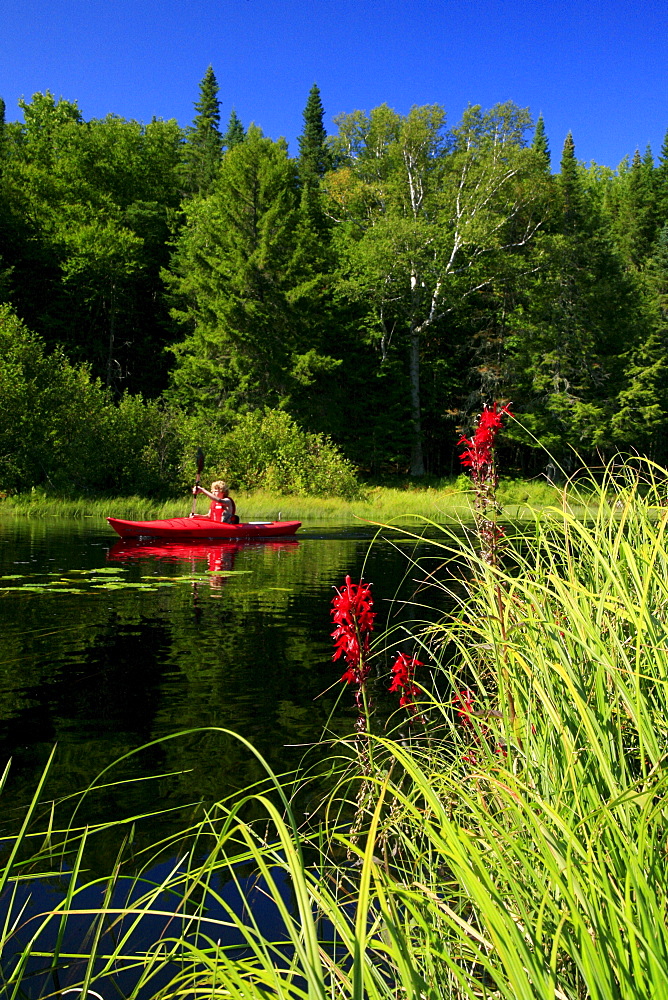 Kayaker in red boat on Big Brook,  Adirondack Park, NY, USA, with focus on grasses.