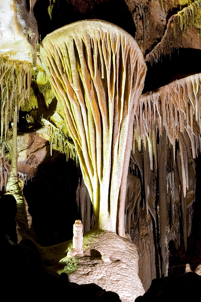 The famous Parachute Shield in the Lehman Caves, Great Basin National Park, NV.