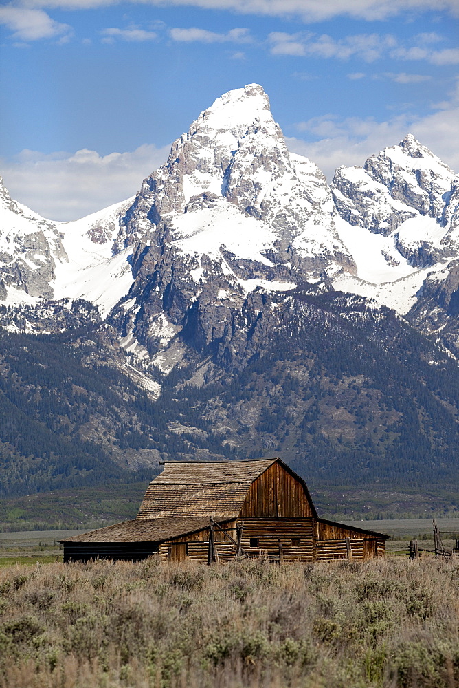 Barn on Mormon row and the Grand Tetons.