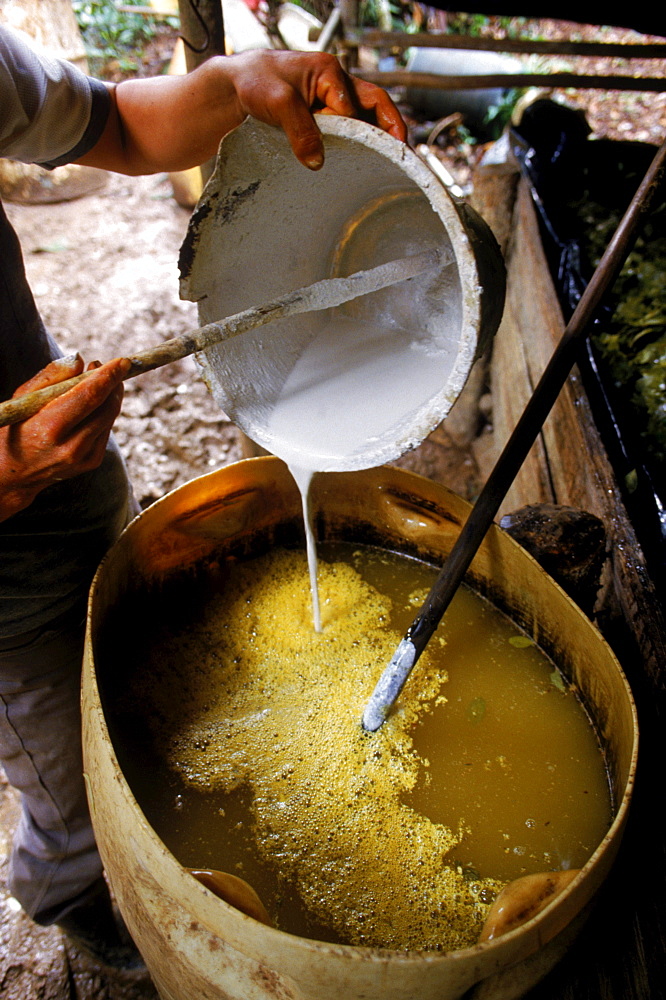 Cocaine processing operation in the jungles of Colombia.