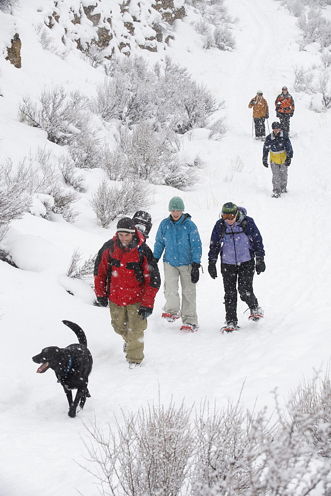 High angle view of a medium sized group of adults and one black dog walking on a trail in the snow in Bend, Oregon.